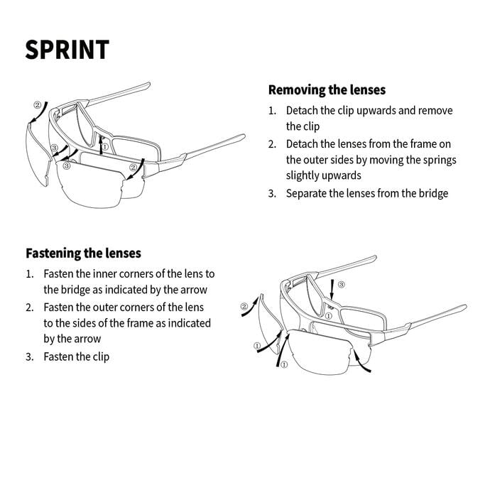 SPRINT-Y 31