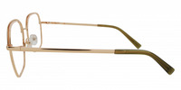 GOLDA2 21