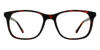 FASANO 01
