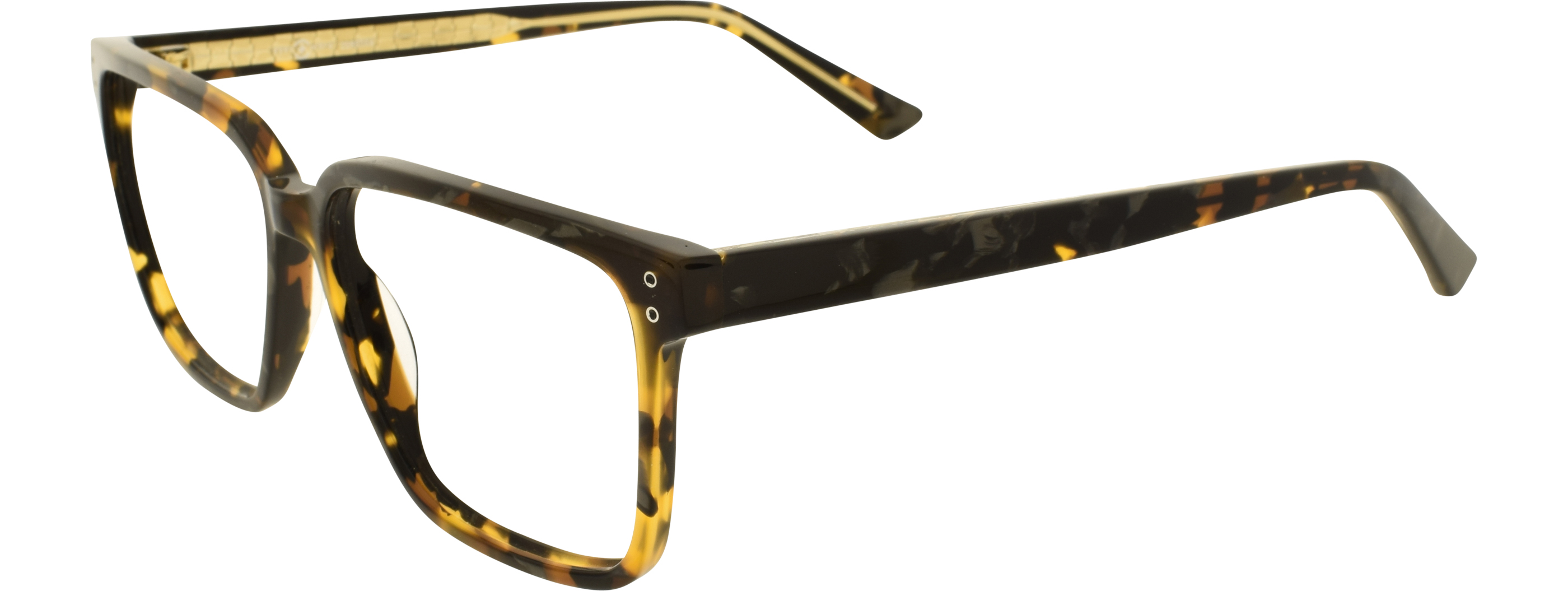 EBNER 01