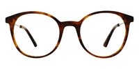 JENA 01
