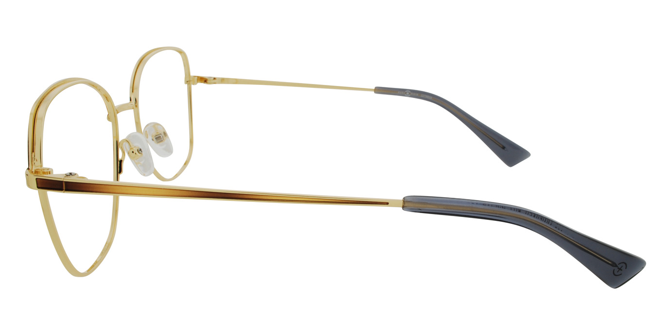 PAMELA 21