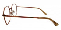 ROBIN 21