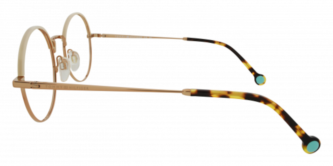 Tommy Hilfiger TH1838 21