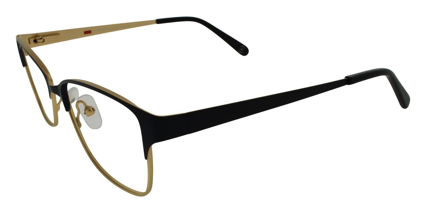SIENA 11