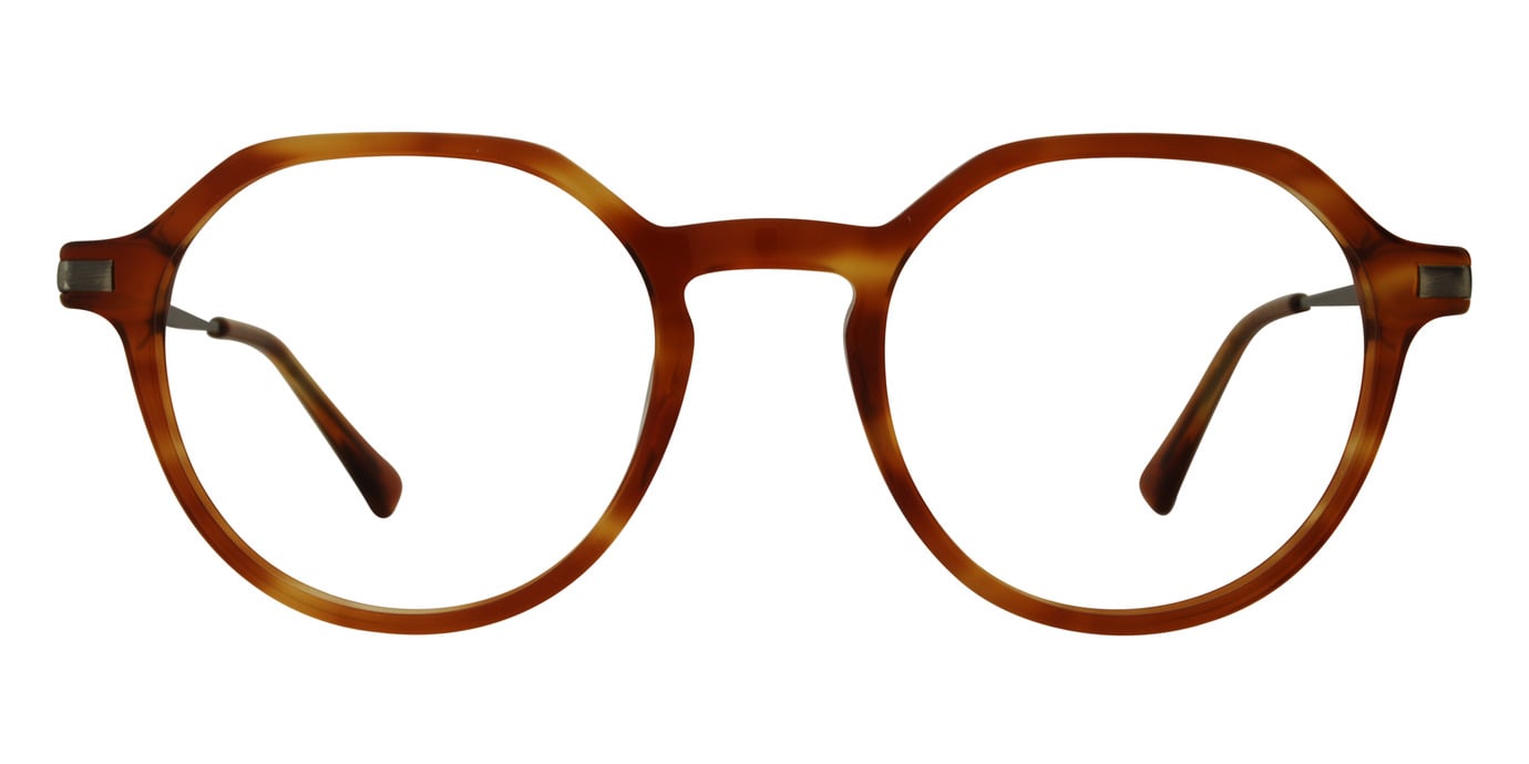 NED 01