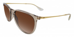 Ray-Ban Erika 4171