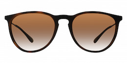 Ray-Ban Erika 4171
