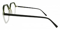 DESI 21