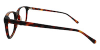 FASANO 21