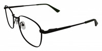 RAYMOND 11