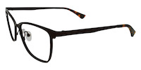 ORIA 11
