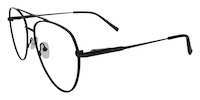 WALDHERI 11