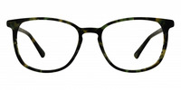 ALESSANO 01